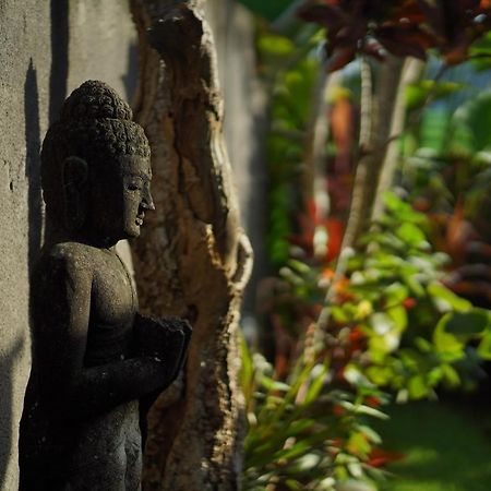 Asri Sari Villa Ubud Buitenkant foto