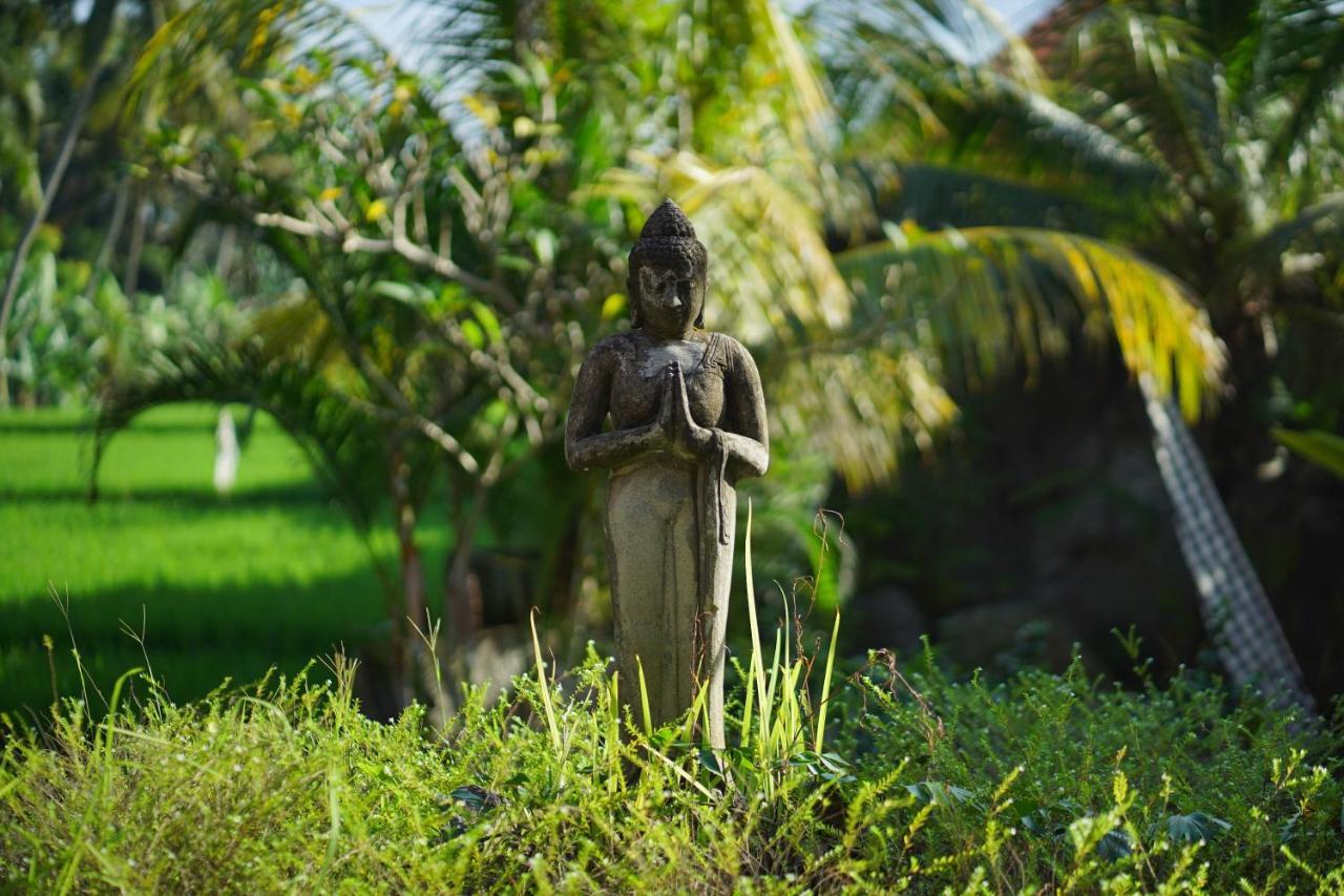 Asri Sari Villa Ubud Buitenkant foto