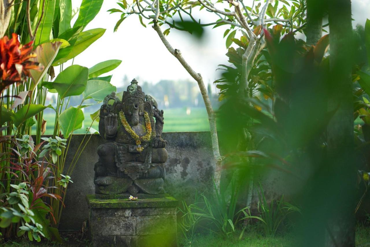 Asri Sari Villa Ubud Buitenkant foto