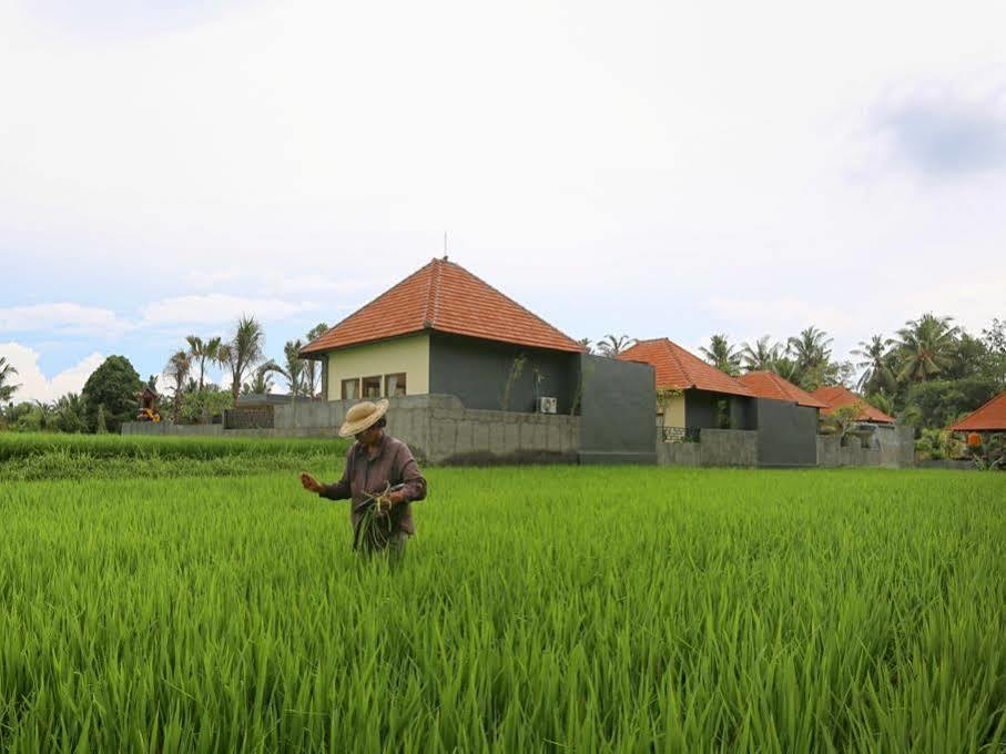 Asri Sari Villa Ubud Buitenkant foto