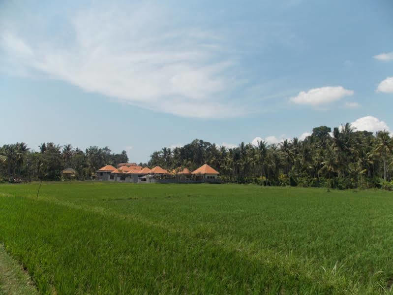 Asri Sari Villa Ubud Buitenkant foto